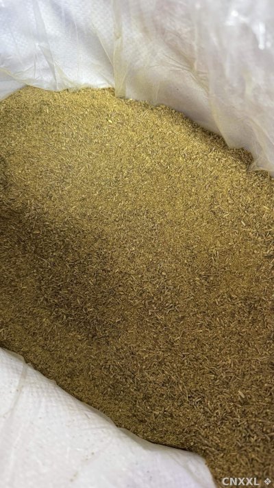 spice_19069_cd706e5f_2.jpg