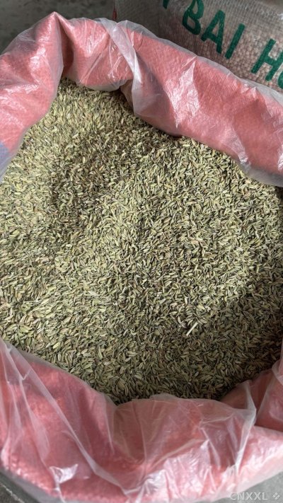spice_19420_e7c8424d_3.jpg