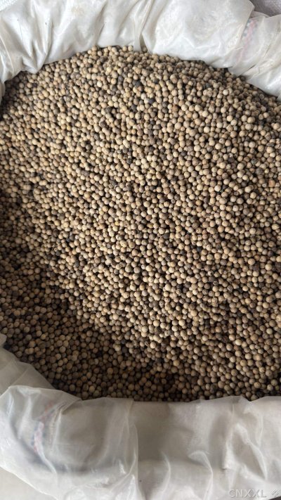 spice_2164955_624cebcc_3.jpg