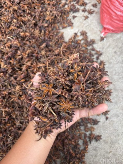 spice_2164958_4295ecf7_2.jpg