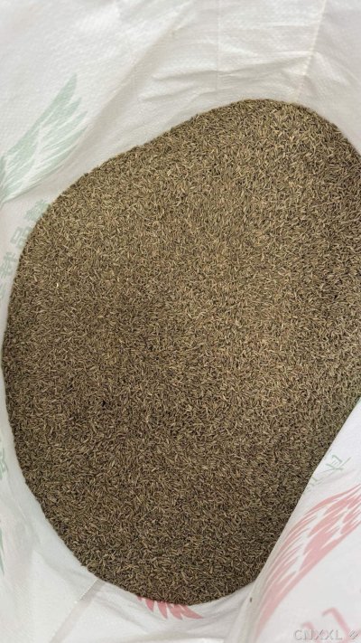 spice_2256632_a43c6194_2.jpg