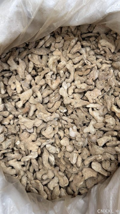 spice_2292128_0ad60160_3.jpg