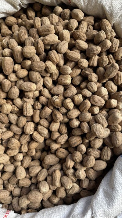spice_2363187_16b8d44a_3.jpg