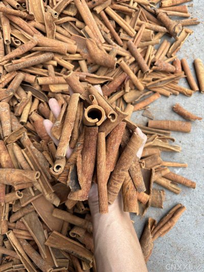 spice_2454487_aa800e9a_2.jpg