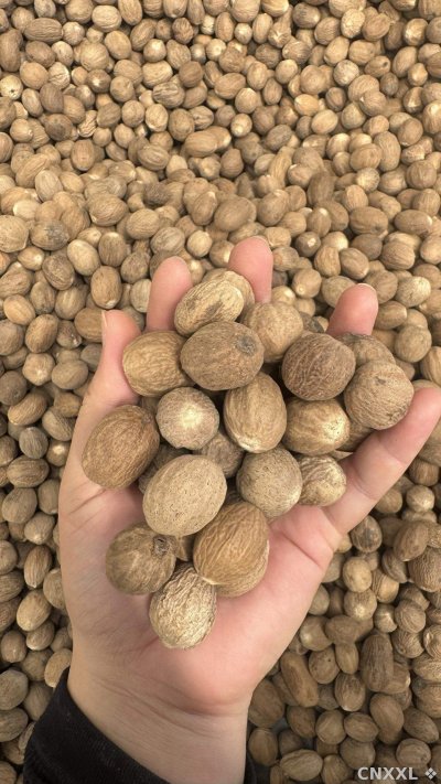 spice_2459533_9cf42a8c_2.jpg