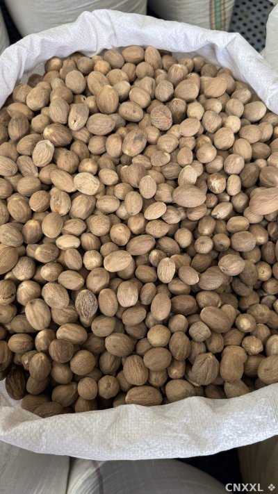 spice_2459533_e80cbb2b_3.jpg