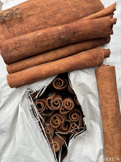 spice_2465019_613e649e_2.jpg
