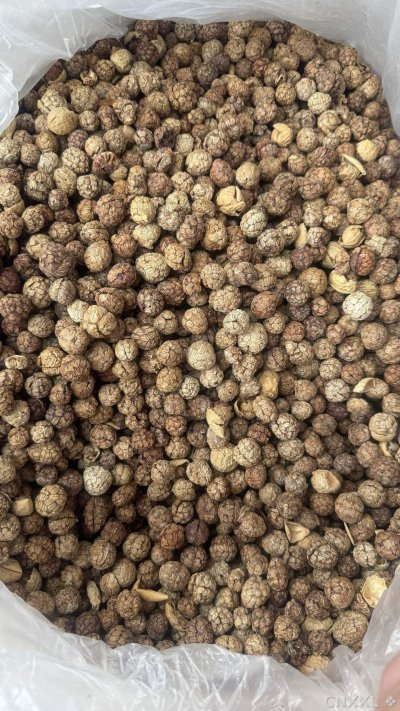 spice_2465021_9e4f5e5b_2.jpg