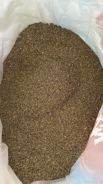 spice_2560874_4ee3dba1_2.jpg