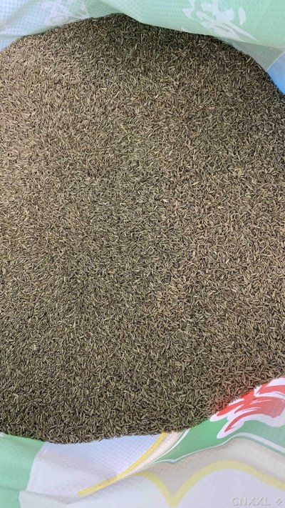 spice_2560875_3c89b431_2.jpg