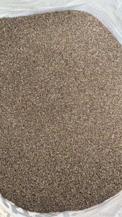 spice_2560876_16fa90b3_2.jpg