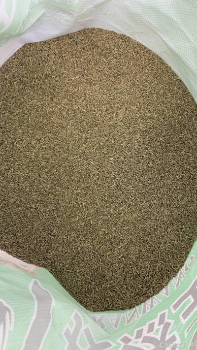 spice_2560877_98fd9c25_2.jpg