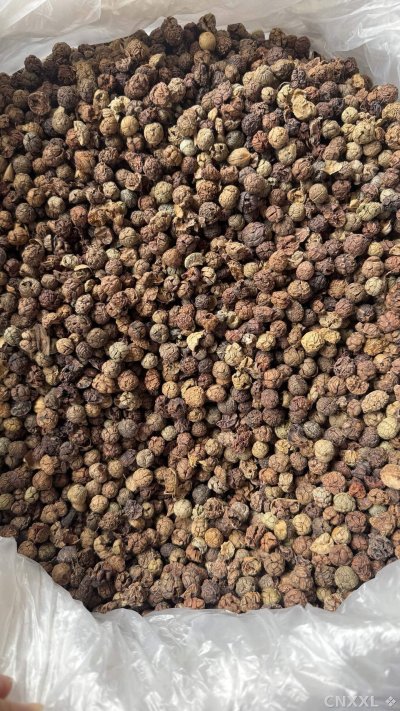 spice_2763695_1086c430_3.jpg