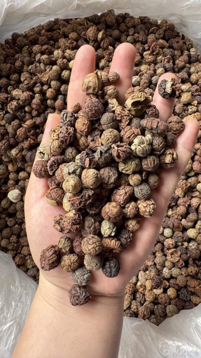 spice_2763695_405c90fc_1.jpg
