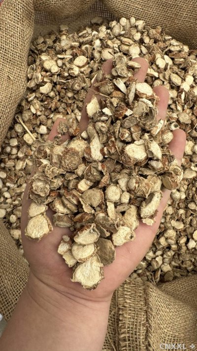 spice_2799204_c9e3b6db_2.jpg