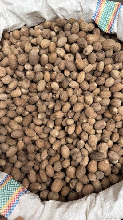 spice_2865130_8f44dcd1_3.jpg