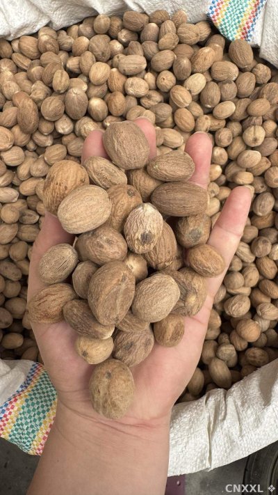spice_2865130_be4d226e_2.jpg