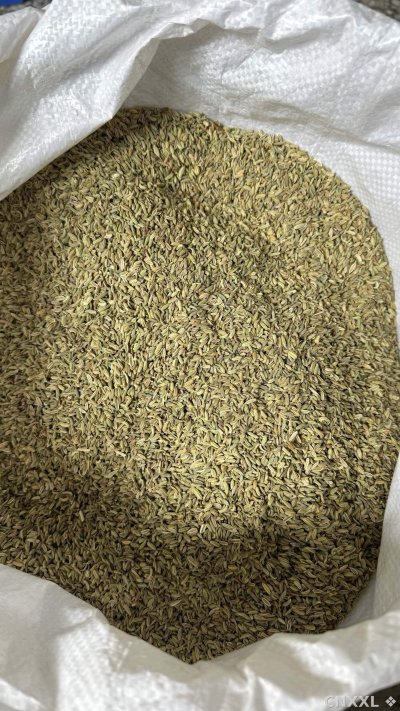 spice_2880336_22404dcb_3.jpg
