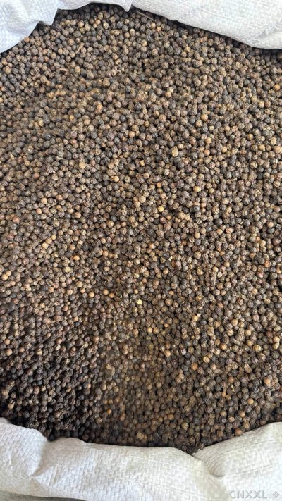 spice_2905687_4d912fa8_3.jpg