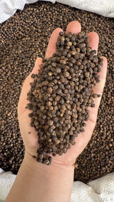 spice_2905687_b7ee47fa_1.jpg