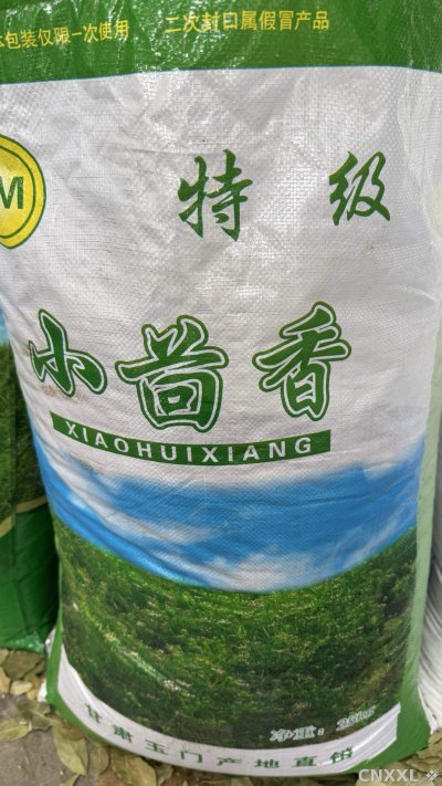 spice_2905689_a2d8728e_3.jpg