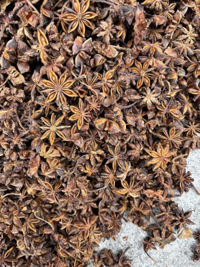 spice_2966524_0f260971_3.jpg