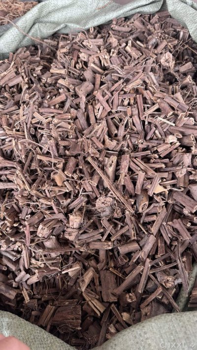 spice_2971598_4dfbed0f_3.jpg