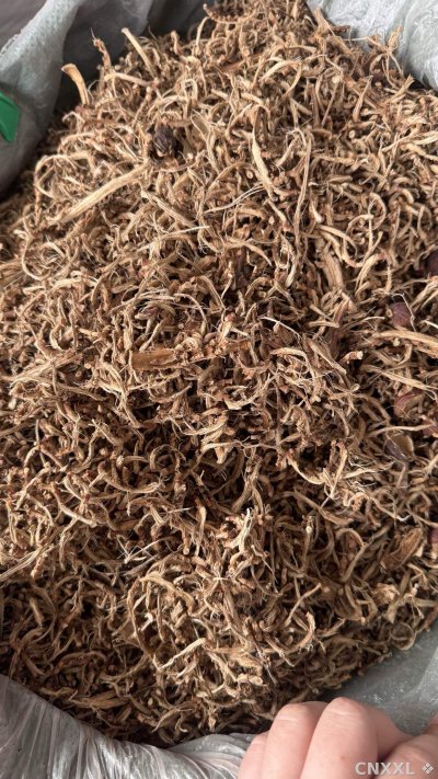 spice_2971601_578c9d3d_3.jpg