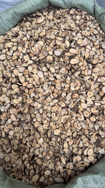 spice_2971603_98c9ac1b_3.jpg