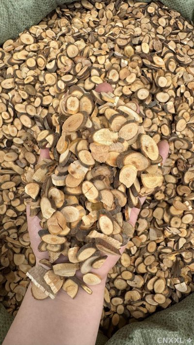 spice_2971603_feac5a35_2.jpg