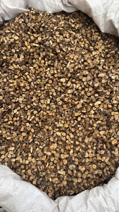 spice_2971604_8b060965_3.jpg