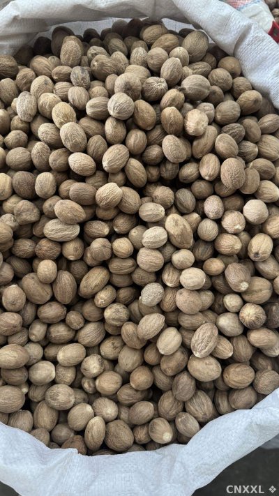 spice_3007174_951eee5f_2.jpg