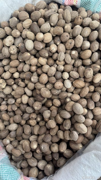 spice_3007175_ee24eeee_3.jpg
