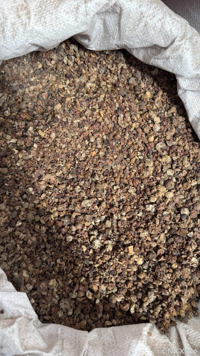 spice_3068072_02ab4039_3.jpg