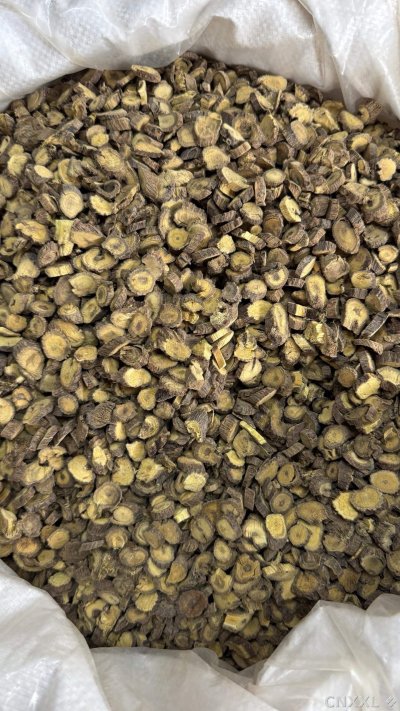 spice_3068079_3766c145_3.jpg