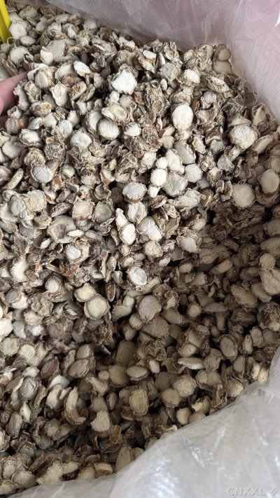 spice_3073155_9082ba65_3.jpg