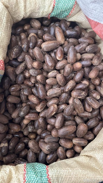 spice_3540620_606cc1d3_3.jpg