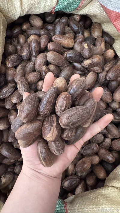 spice_3540620_7864be10_1.jpg