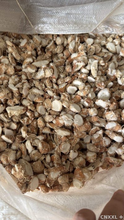 spice_3672745_2f0d3422_3.jpg