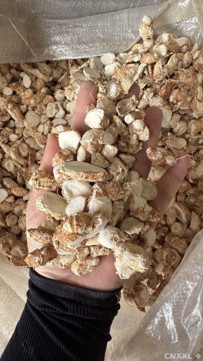spice_3672745_c917714e_1.jpg