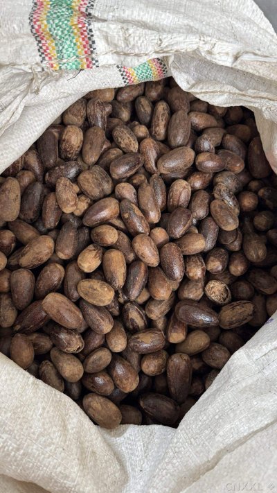 spice_3708358_962682ed_3.jpg