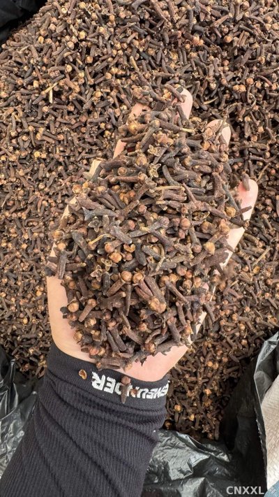 spice_3708360_084d1fdf_2.jpg