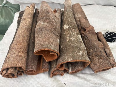 spice_3774591_f47537ad_3.jpg
