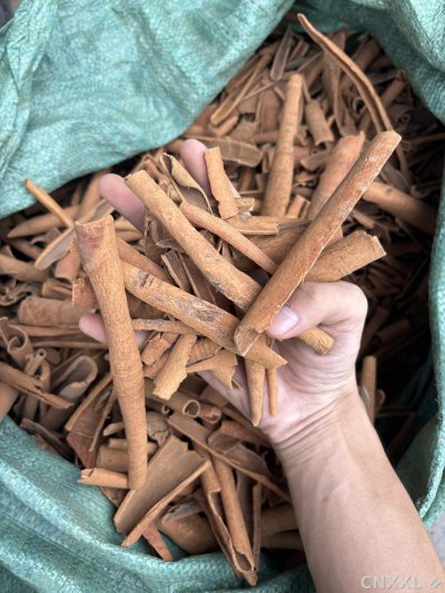 spice_3779671_9ff0cebc_3.jpg