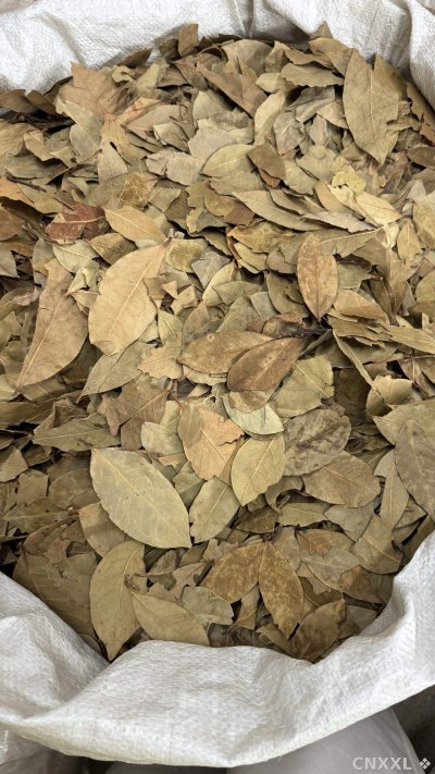 spice_3881692_f733ff44_3.jpg