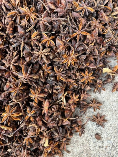 spice_3973632_6d32de88_3.jpg
