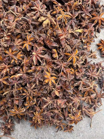 spice_4193144_91f6f033_3.jpg