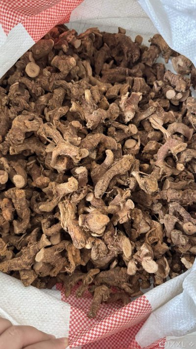 spice_4377496_5c08907e_3.jpg