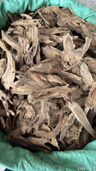 spice_4377497_189f10ff_3.jpg