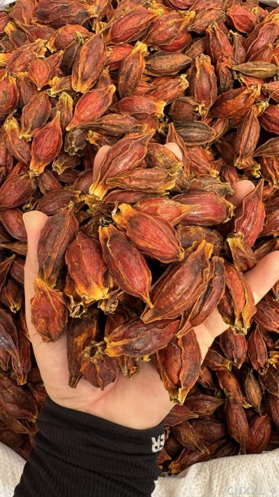 spice_4382606_88bece6b_2.jpg